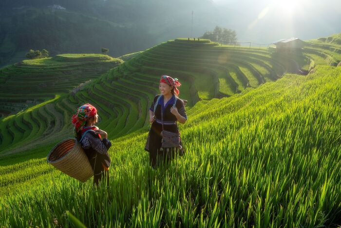 Two women in traditional attire smiling in lush green terraced fields, capturing the soul of Asia in vibrant nature.