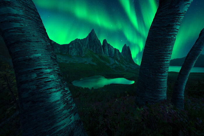 Northern lights glow over jagged mountain peaks and a lake, captured in breathtaking space photography.