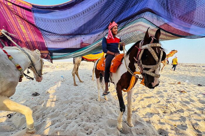 Man riding decorated horse under colorful fabric in sandy area, showcasing powerful street photos capturing the soul of India.