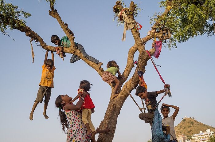 Children climbing and playing on a tree in a vibrant street scene, showcasing powerful street photos capturing the soul of India.