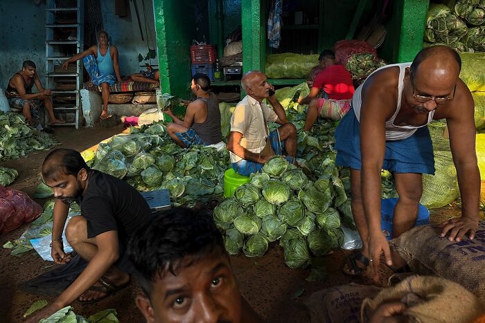 Street vendors surrounded by fresh cabbages in a bustling Indian market, showcasing powerful street photos capturing the soul of India.