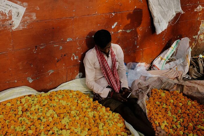 Man sitting against a wall surrounded by marigold flowers in a powerful street photo capturing the soul of India.