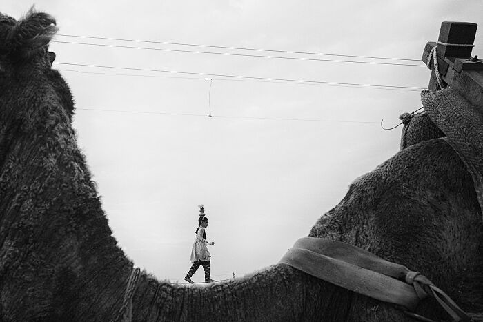 Black and white street photo of a girl walking with a pot on her head, framed by a camel, capturing the soul of India.