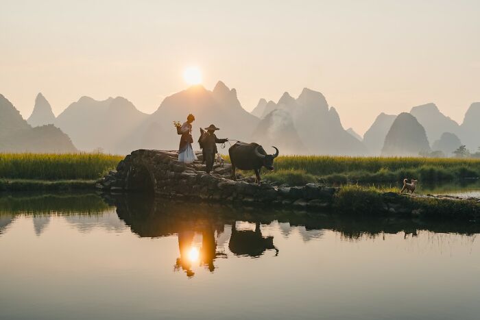 Sunset over peaceful rural scene with farmers, water buffalo, and mountains reflecting in the water, showcasing best color photography.