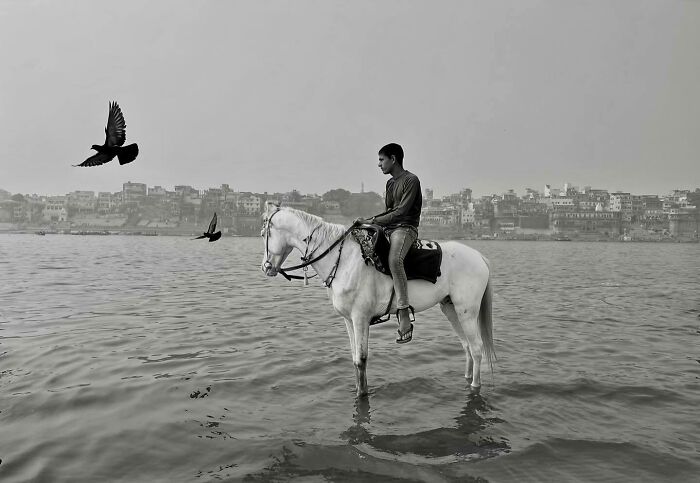Boy riding a white horse in water with birds flying nearby, showcasing stunning photography of Asia's unique landscapes.