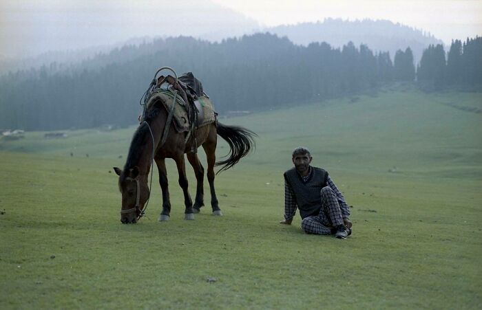 Man sitting on a grassy field beside a saddled horse with misty forest and hills in the background exploring Asia.
