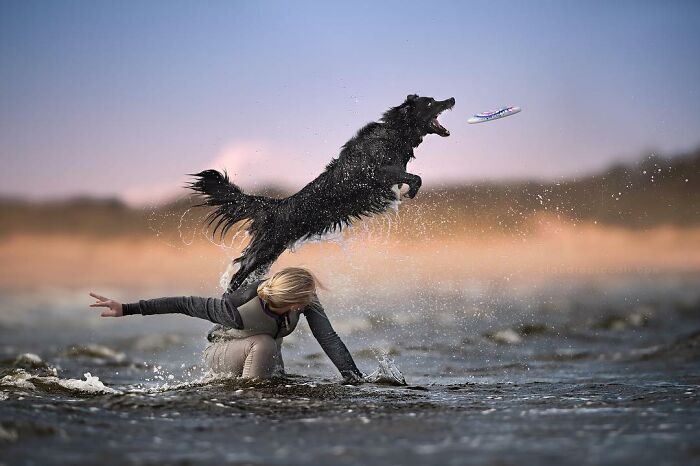 Black dog flying through the air like a superhero catching a frisbee over a person in shallow water at sunset.