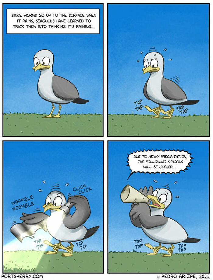 Comic strip of a seagull using taps and a megaphone to trick worms, showcasing Port Sherry’s funny everyday moments with absurd twists.