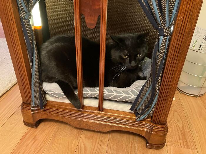 Black cat resting inside a cozy cat bed created from a vintage TV set with wooden frame and fabric curtains.