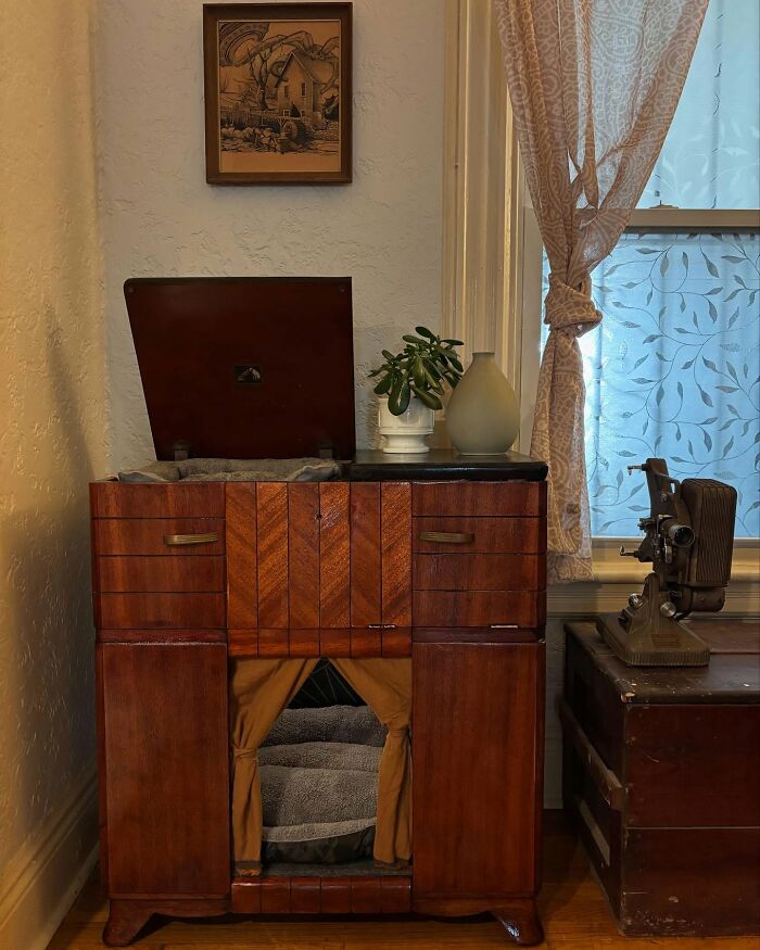 Vintage TV repurposed into cozy cat bed nook with warm wood tones, soft cushions, and decorative plants nearby in a sunlit room.