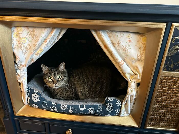 Cozy cat bed made from a vintage TV turned into a nostalgic nook with curtains and a patterned cushion inside.