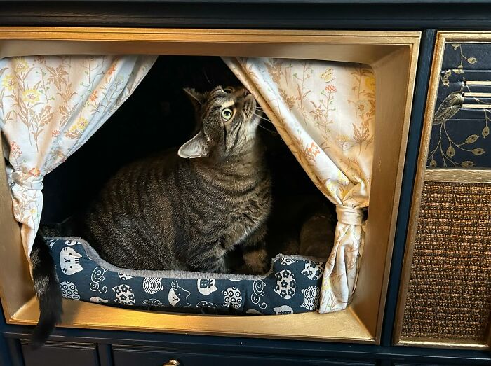 Tabby cat resting inside a vintage TV turned into a cozy cat bed with floral curtains and patterned cushion.
