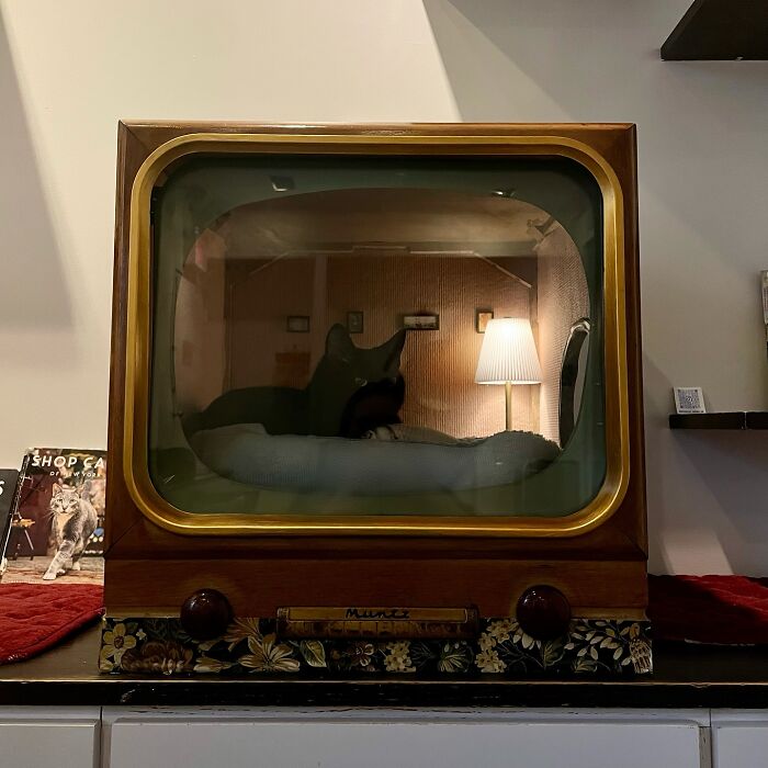 Vintage TV repurposed into a cozy cat bed with warm lighting and a resting cat inside, showcasing nostalgic nooks.