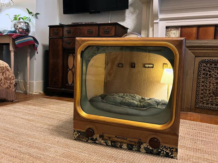 Vintage TV repurposed into a cozy cat bed with soft bedding inside, blending nostalgic nooks with pet comfort.