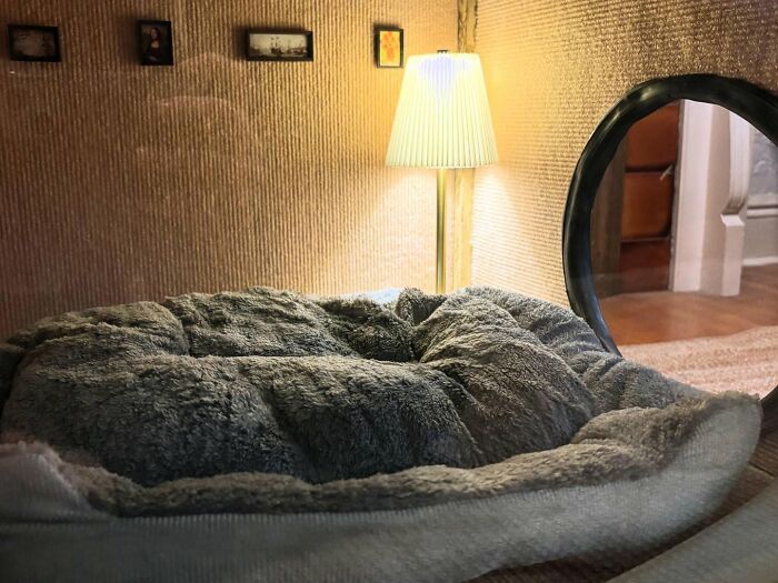 Cozy cat bed placed inside a vintage TV set, creating nostalgic nooks with soft cushioning and warm lighting.