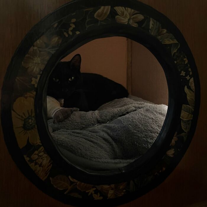 Black cat resting inside a vintage TV turned cozy cat bed with soft blankets and floral frame details.