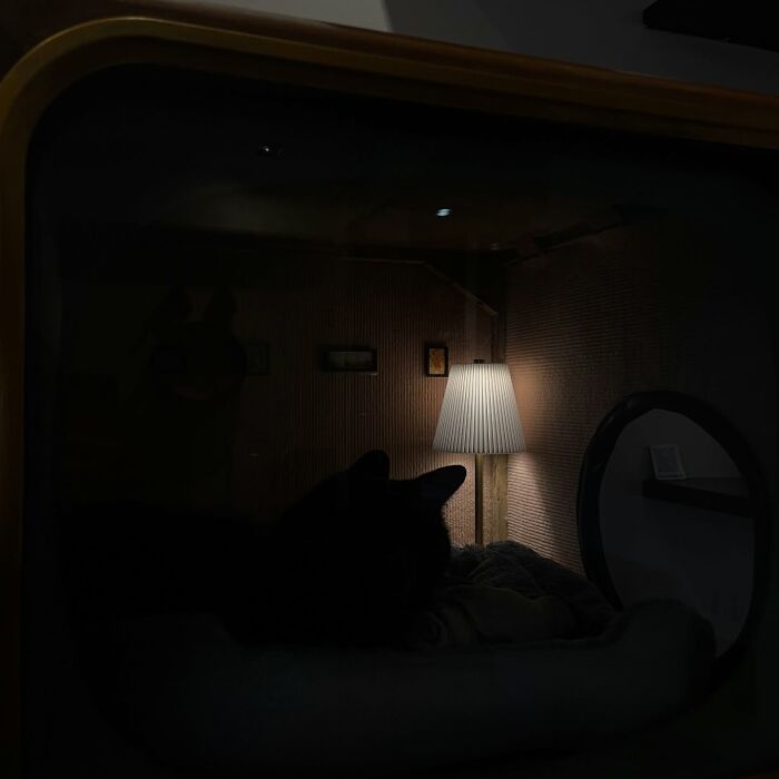 Cozy vintage TV repurposed into a cat bed with soft lighting, showcasing nostalgic nooks for pets to relax comfortably.