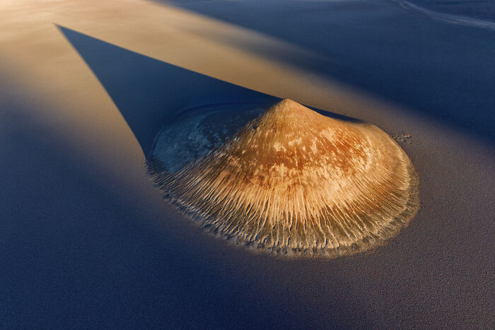 Aerial shot of a sand dune casting a long shadow at sunset, showcasing textures in winning aerial photography.