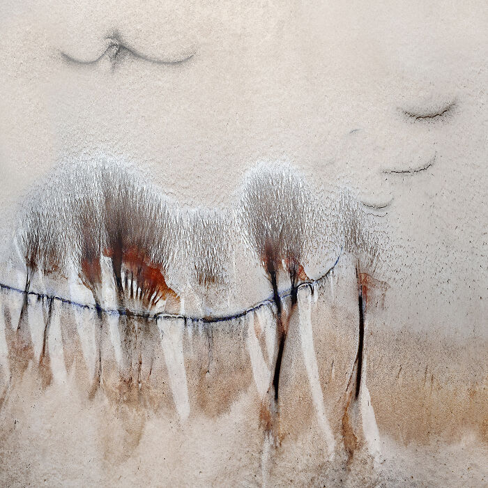 Abstract aerial shot showing desert trees casting long shadows on sandy terrain in winning aerial shots collection.