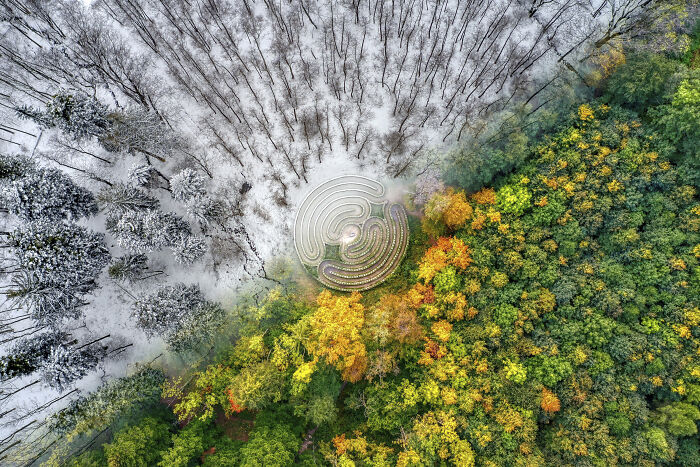 Aerial shot of a forest landscape showing contrasting snowy and autumn-colored trees with a circular maze in the center.