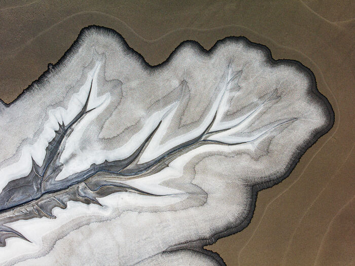 Aerial shot of a salt flat landscape featuring natural branching patterns in muted brown and white tones.