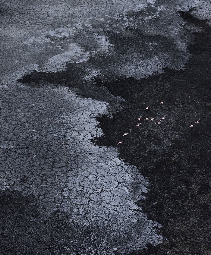 Aerial shot of c*****d dry earth with a flock of birds flying over the contrasting dark and light terrain.