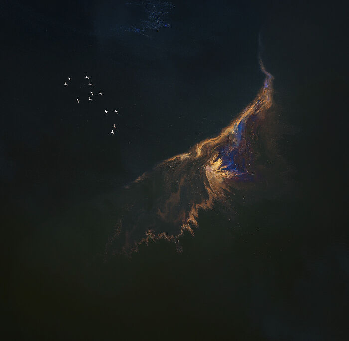 Flock of birds flying over dark water with golden and blue swirling patterns in winning aerial shot.