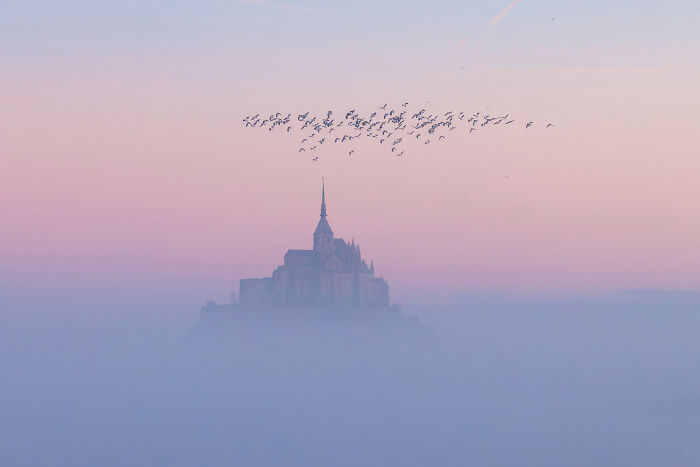 Misty aerial shot of a historic castle with birds flying above during a pastel-colored sunrise or sunset sky.