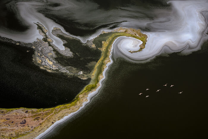 Aerial shot of swirling water patterns and a group of birds flying over a dark lake landscape.