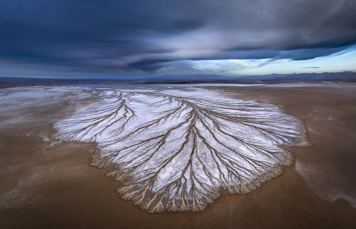 Aerial shot of a dramatic desert landscape with branching patterns and dark storm clouds, showcasing winning aerial photography.