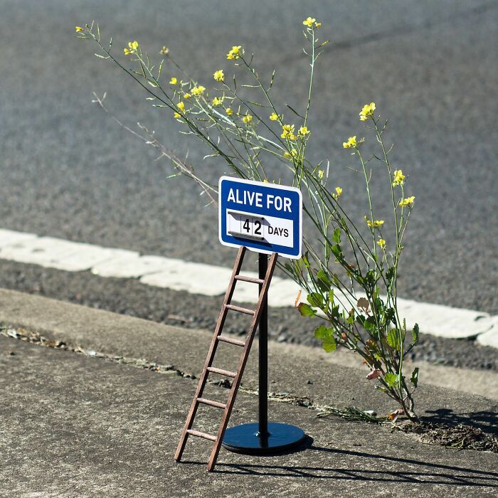 Miniature street scene with a tiny sign reading alive for 42 days and a small ladder leaning against it on pavement.