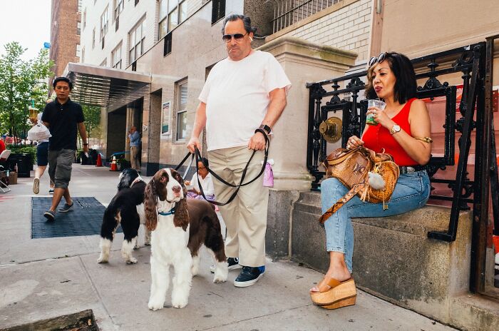 Man walking dogs and a woman sitting on a NYC sidewalk, capturing striking street photos of city life and stories.
