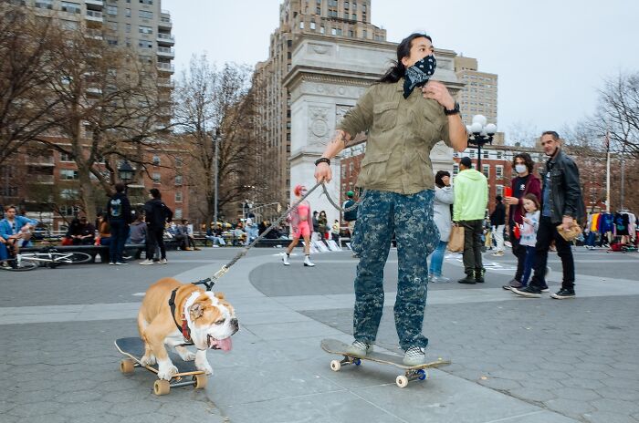 Skateboarding man with face mask pulling a bulldog on a skateboard in NYC street photo showing city stories.