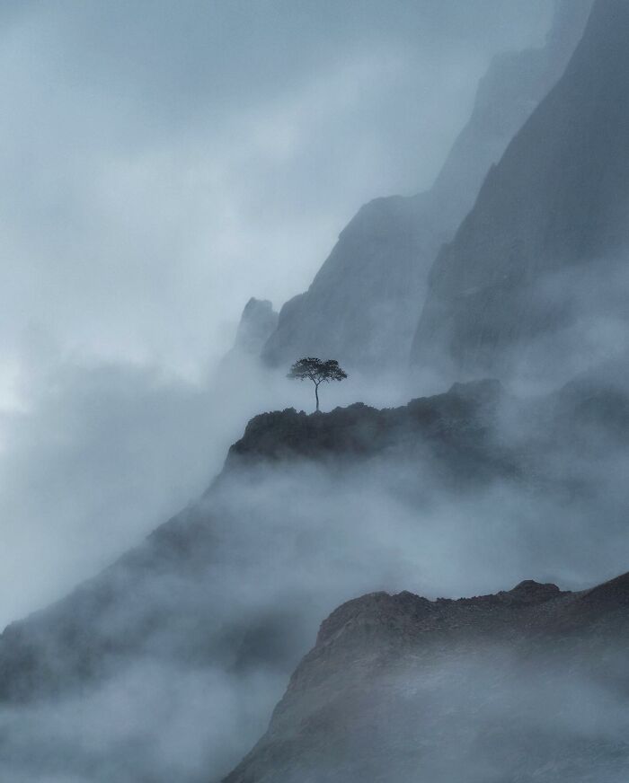 Solitary tree on a rocky cliff surrounded by mist, a breathtaking landscape scene that looks straight out of a fantasy movie.
