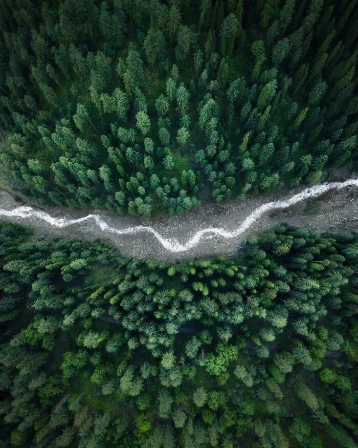 A breathtaking landscape shot of a winding river flowing through dense green forest captured from above.