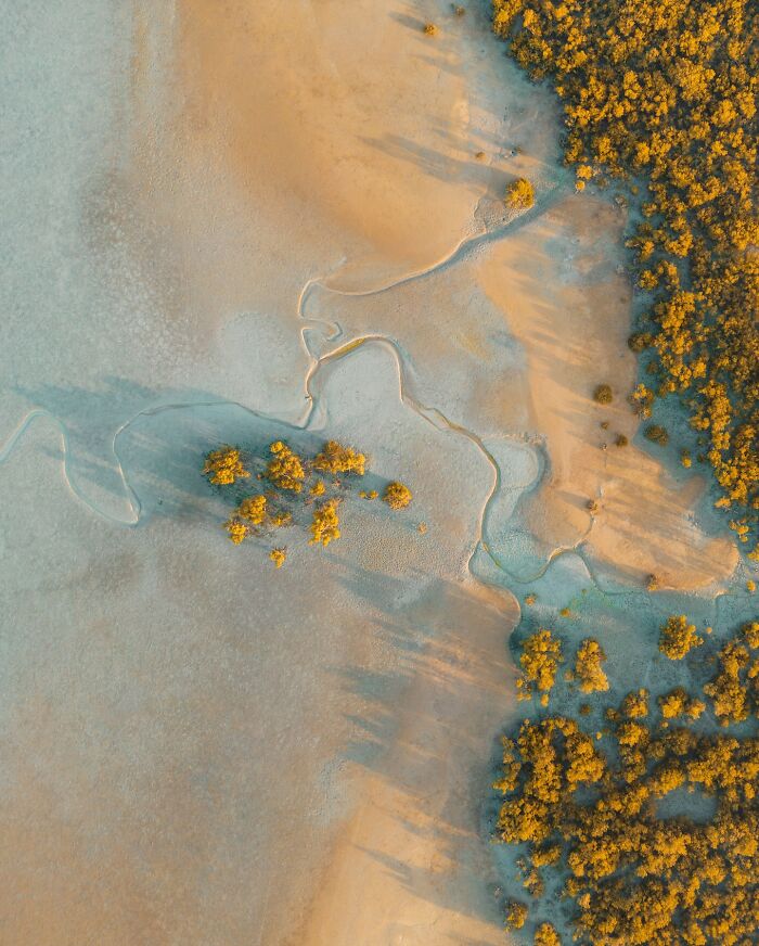 Aerial landscape view of winding stream and golden trees casting shadows on sandy terrain, picturesque and fantasy-like scenery.