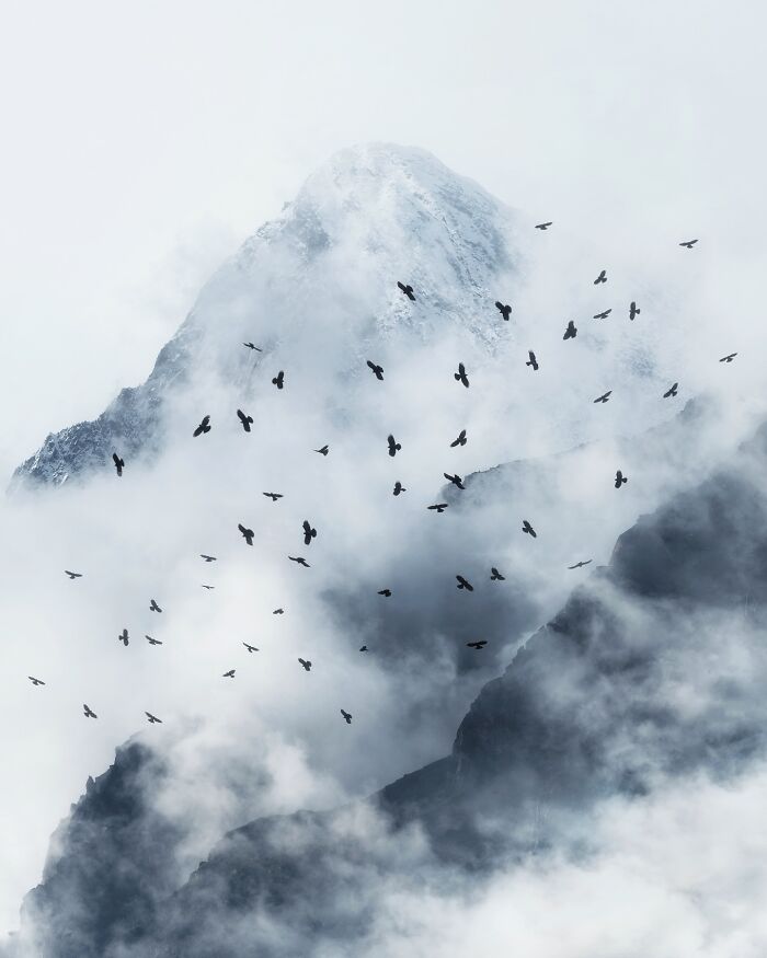 Snow-covered mountain peak surrounded by mist with birds flying, a breathtaking landscape shot like a fantasy movie.