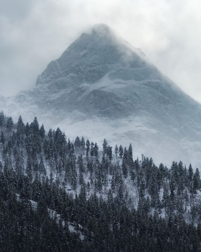 Snow-covered mountain peak rising above a frost-covered forest in a breathtaking fantasy landscape shot.