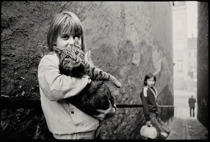 Walking The Cat, May 1988