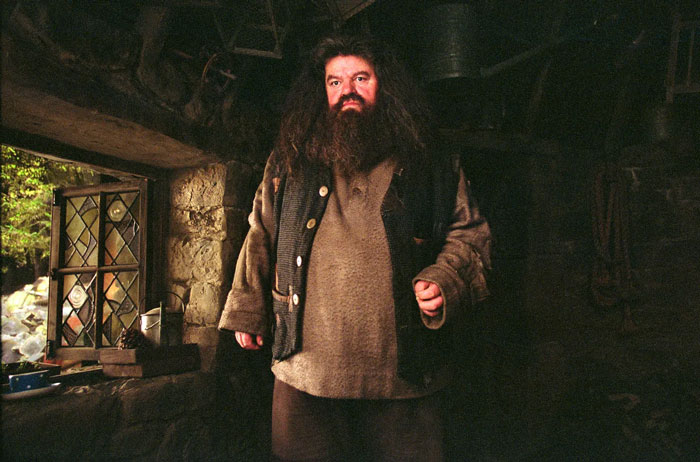 Hagrid's first look in the upcoming series shown in a dimly lit rustic room with stone walls and wooden window frame.