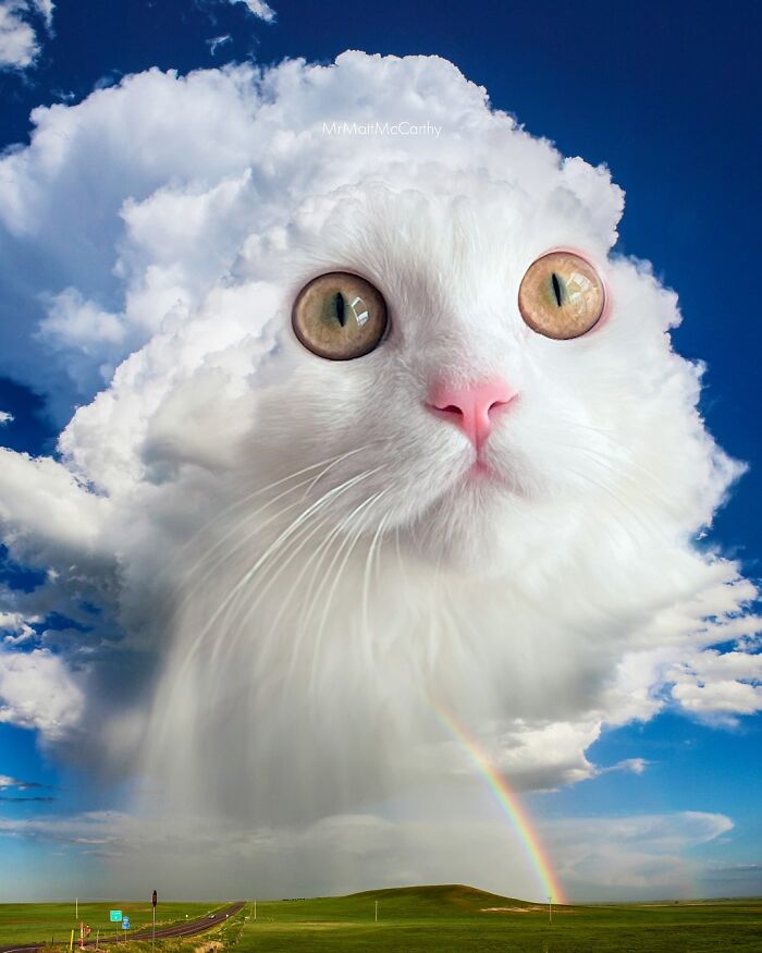 Surreal parallel universe with giant cat face formed from clouds above a landscape with a rainbow and blue sky.