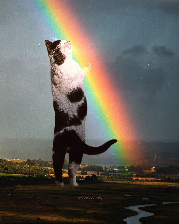 Giant surreal cat reaching toward a vibrant rainbow in a fantastical parallel universe landscape.