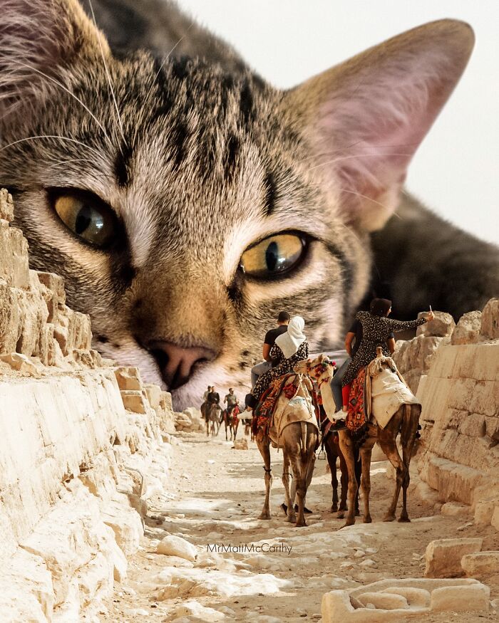 Surreal parallel universe with giant cat looming over people riding camels through ancient stone ruins.
