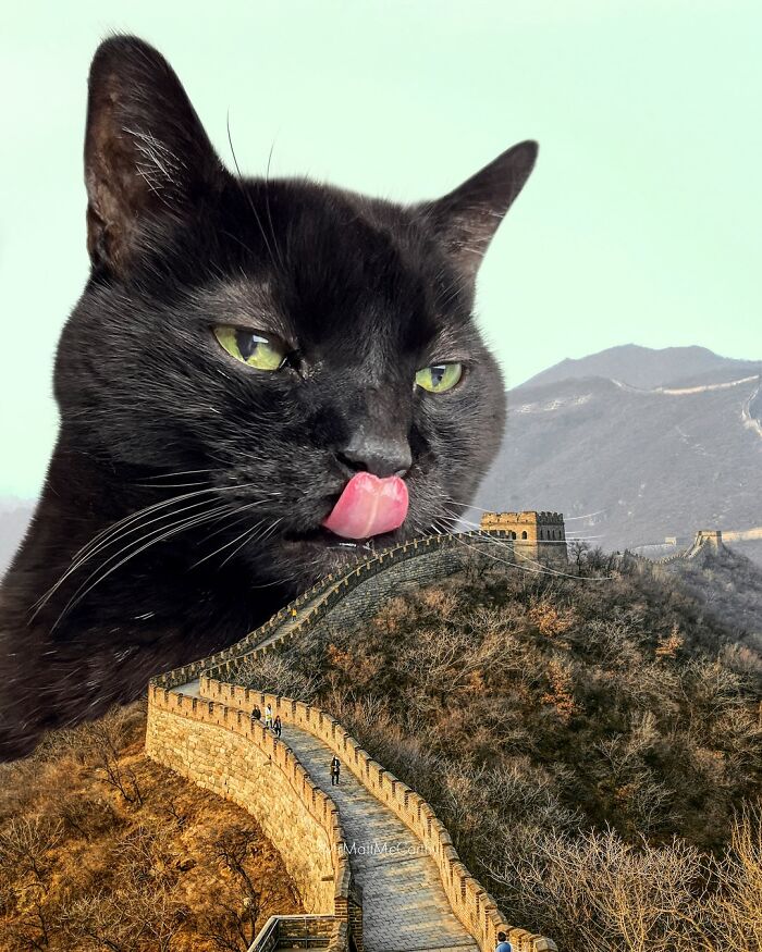 Surreal parallel universe with a giant black cat towering over the Great Wall in a fantasy art scene.