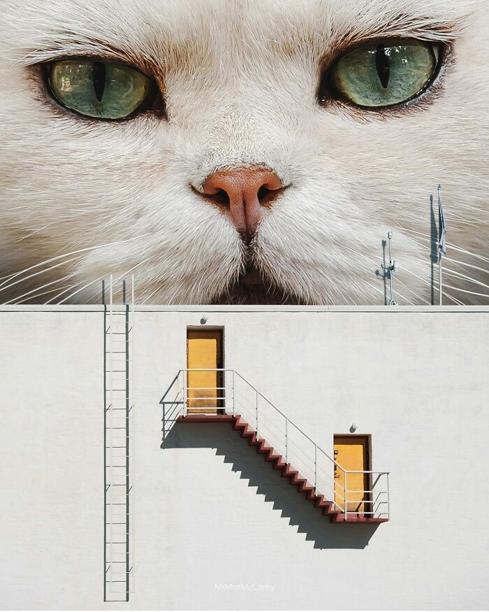 Surreal parallel universe artwork featuring a giant cat face towering over a minimalist building with doors and stairs.