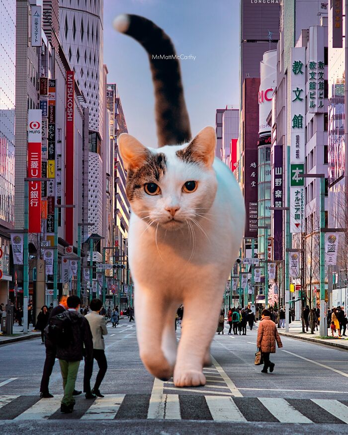 Giant cat walking through city street in surreal parallel universe artwork imagining cats reigning over humans.