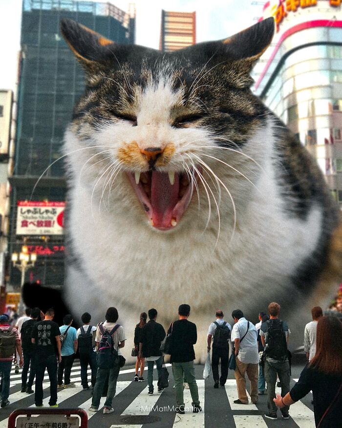 Giant cat towering over city street with pedestrians below in surreal parallel universe art piece.