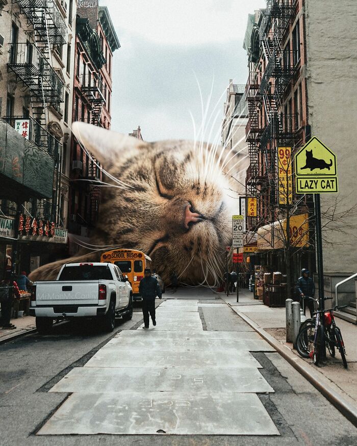 Giant cat peacefully sleeping in a city street, illustrating a surreal parallel universe where giant cats reign.
