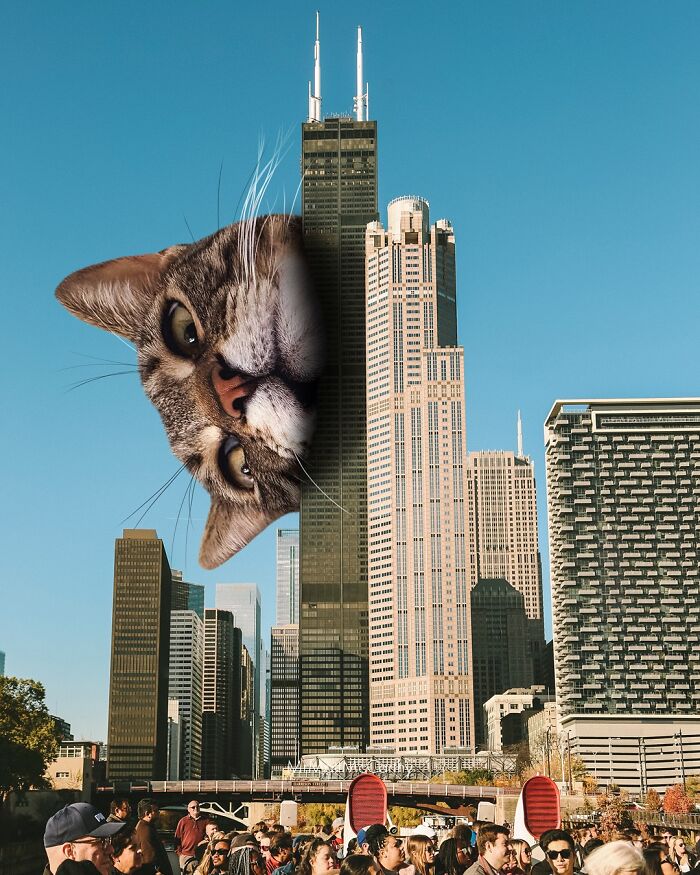 Giant cat peeking from behind skyscrapers in a surreal parallel universe with towering city buildings and clear blue sky.