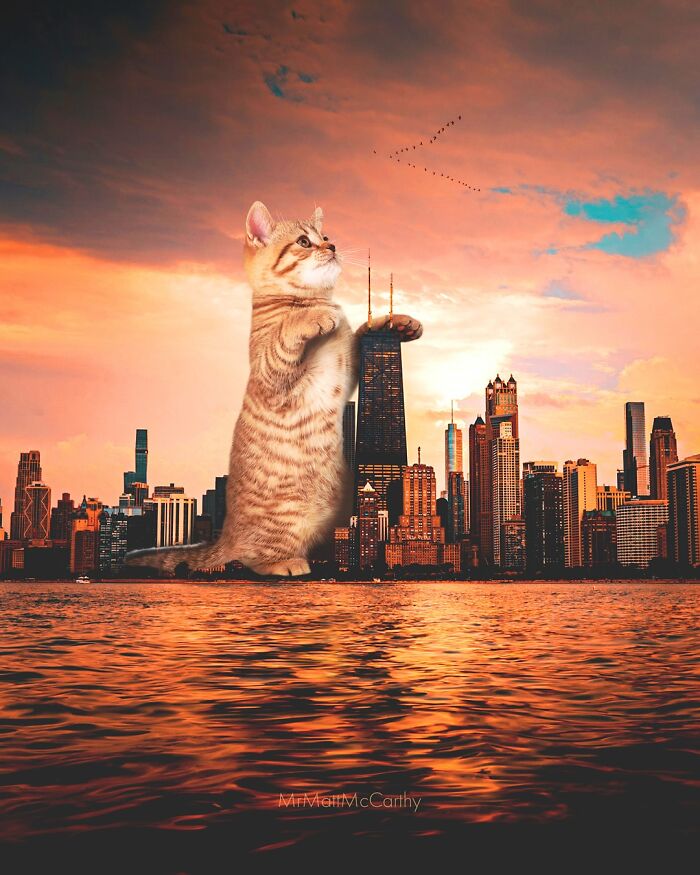Giant cat towering over city skyline at sunset in a surreal parallel universe artwork.